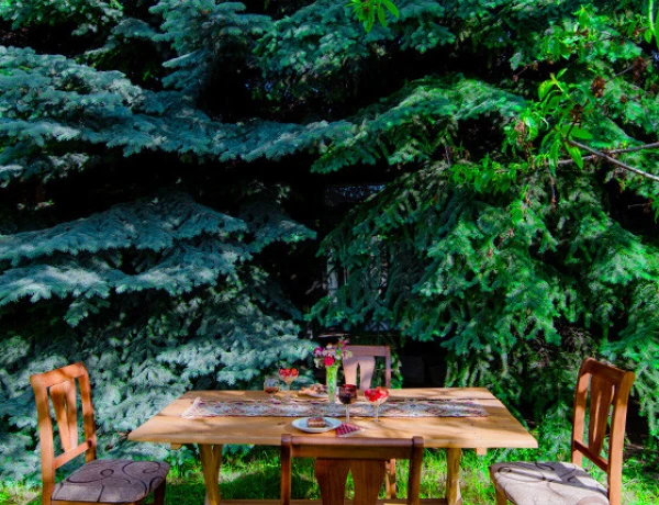 Дом Абелянов