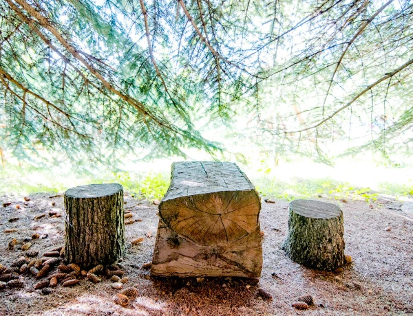 Дом Абелянов