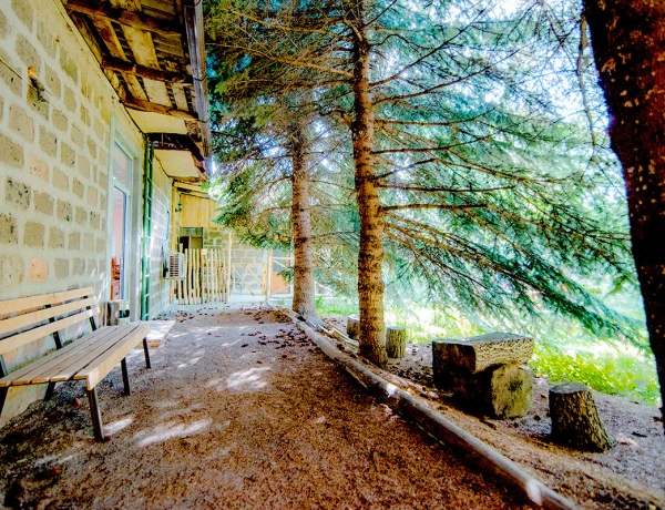 Дом Абелянов