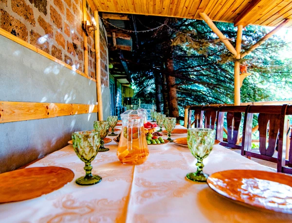 Дом Абелянов