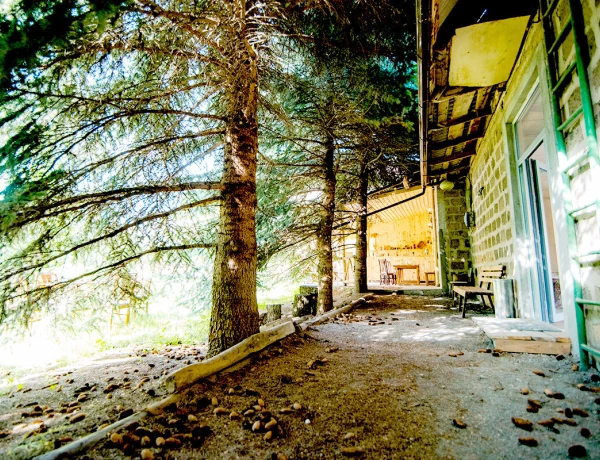 Дом Абелянов