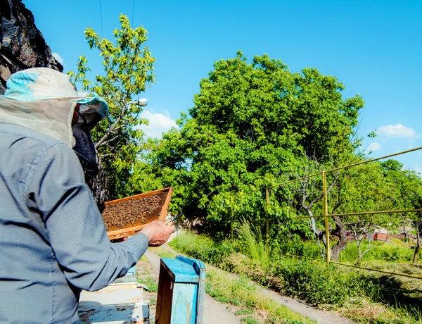 Дом Абелянов