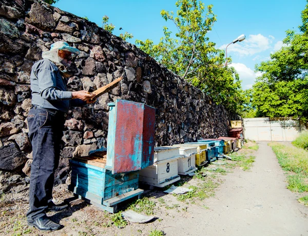 Дом Абелянов