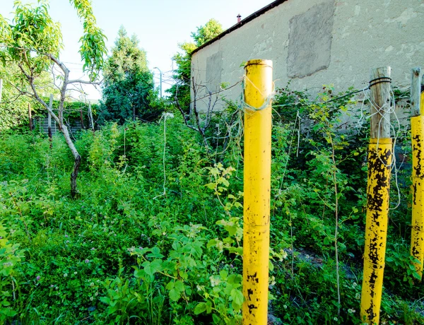 Дом Абелянов