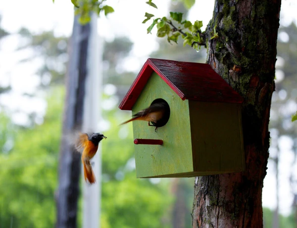 Carahunge – Stepanaván