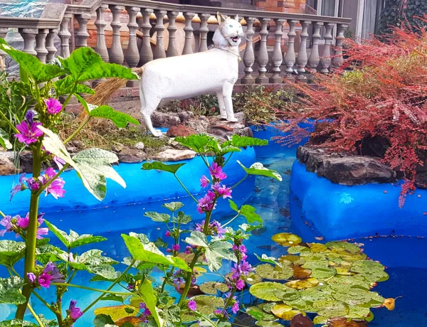 Мачаненц Туризм и Арт