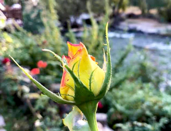 Нор Джрахац