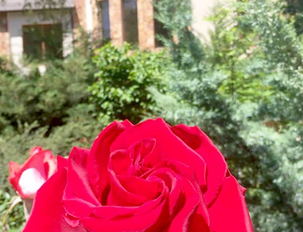 Нор Джрахац