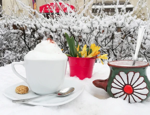 Արտ Բրիջ գրախանութ-սրճարան