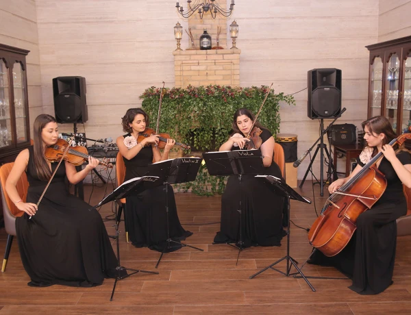 Вайн Корнер