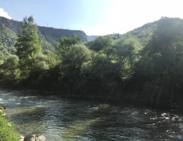 Аторик