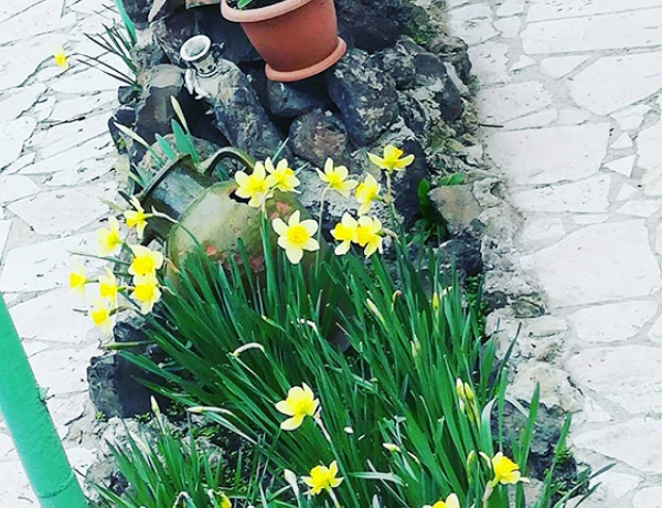 Гарни Рест Хост