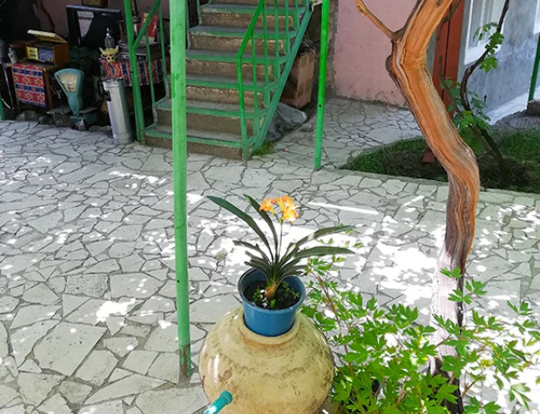 Гарни Рест Хост