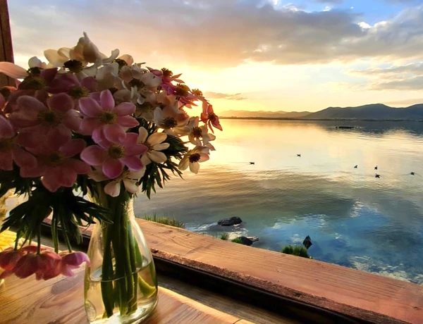 Чайная Башинджагян