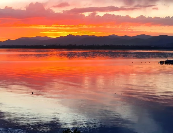 Чайная Башинджагян