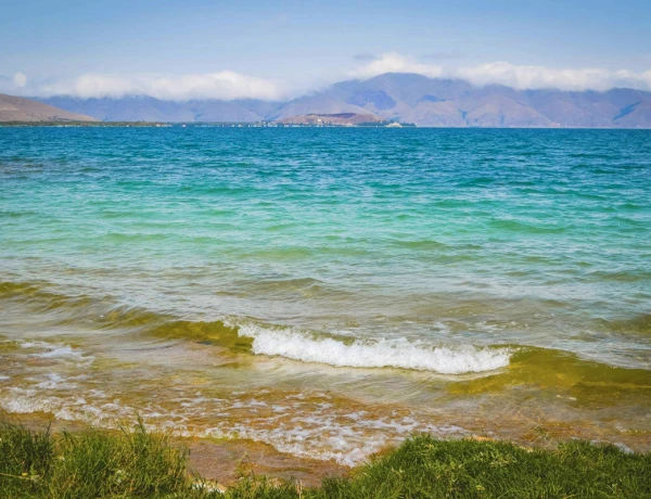 Чайная Башинджагян