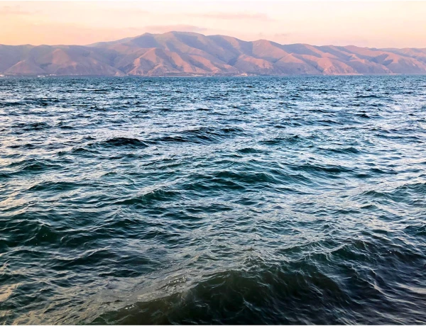 Чайная Башинджагян