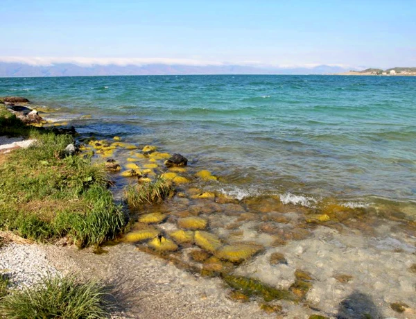 Чайная Башинджагян