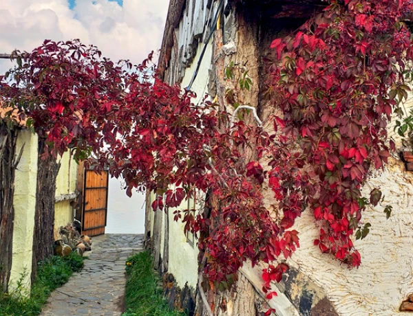 Чайная Башинджагян