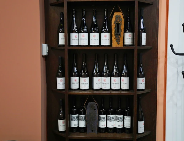 Հին Անի Մյուզիք Հոլ