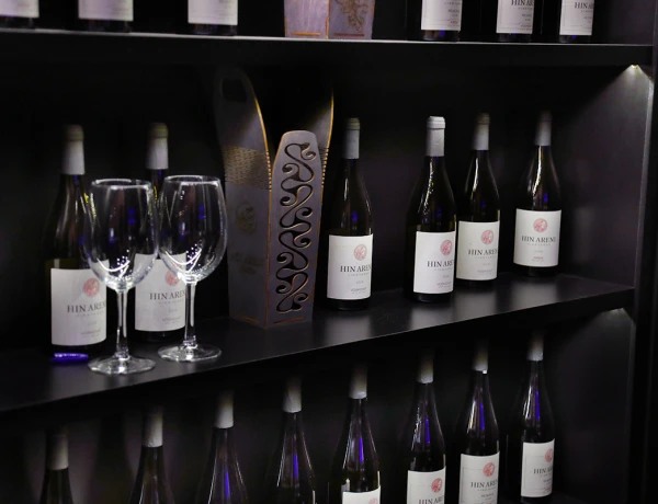 Հին Անի Մյուզիք Հոլ