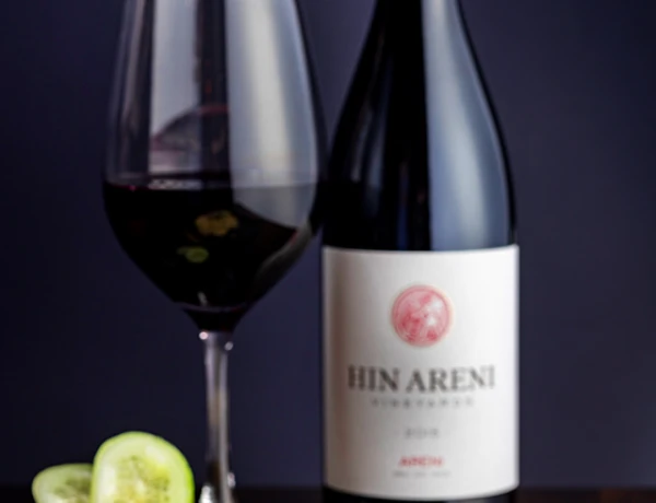 Հին Անի Մյուզիք Հոլ