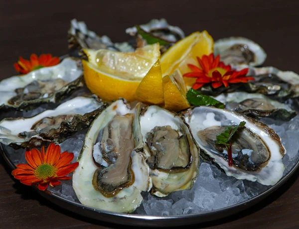 Ֆիշ Հաուս էնդ Գրիլ-Բար