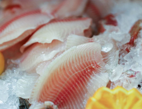 Ֆիշ Հաուս էնդ Գրիլ-Բար