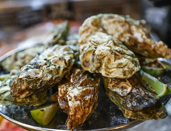 Ֆիշ Հաուս էնդ Գրիլ-Բար