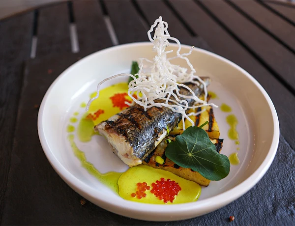 Ֆիշ Հաուս էնդ Գրիլ-Բար