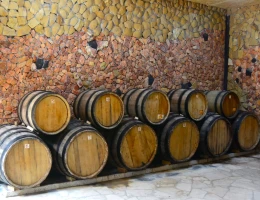 Gastro-cour Arman Hakhverdyan