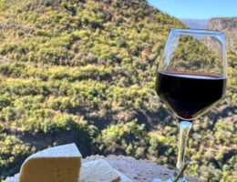 Зарни-Парни