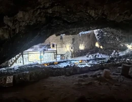 Зарни-Парни