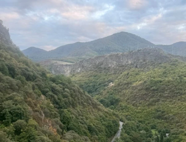 Зарни-Парни