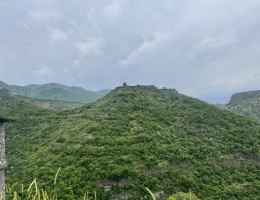 Зарни-Парни