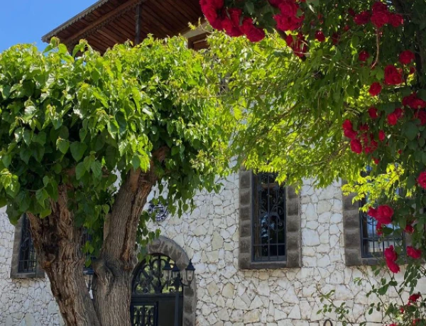 Ագուլեցի Արտ-Սրճարան