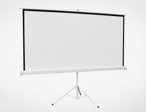 Projection screen