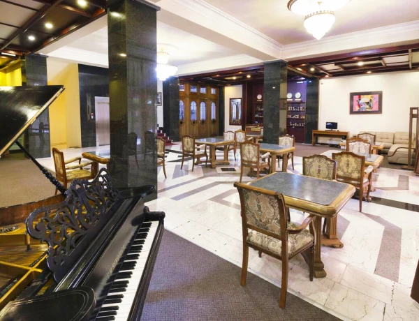 Sala conferenze (Hotel Ani Central Inn)