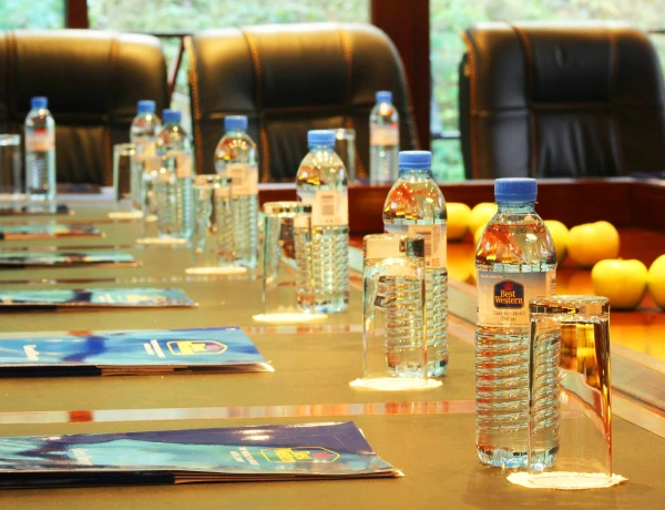 Sala conferenze VIP (Best Western Plus Paradise Hotel Diligian)