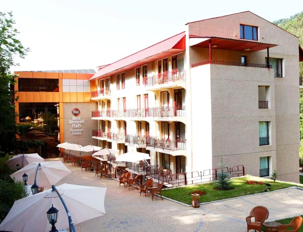 Sala conferenze VIP (Best Western Plus Paradise Hotel Diligian)