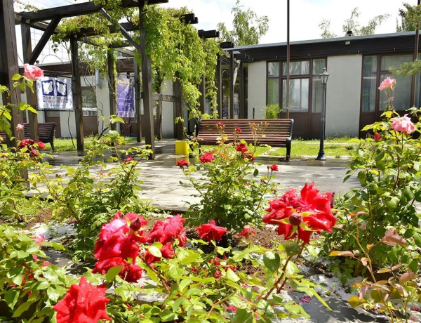 Durer hall (Berlin Art hotel)