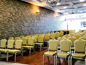 Conference hall (Plaza Viktoria hotel)