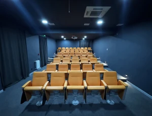 Cinema hall (11+1 by TUMO hostel)